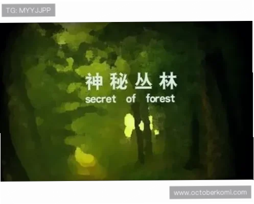 BG真人官网体验指南